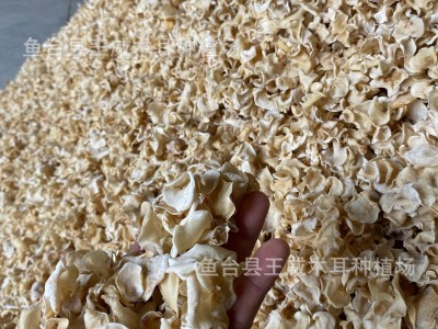 白木耳干货产地批发手选白玉木耳图2