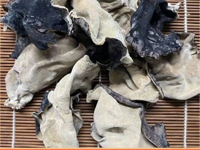 白背木耳干货批发毛肚木耳肉厚片大口感脆爽产地自产毛木耳图4