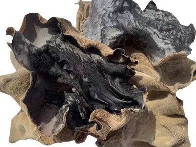 白背木耳干货批发毛肚木耳肉厚片大口感脆爽产地自产毛木耳图3