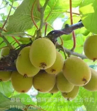 ScreenShot_2026-03-18_171935_533