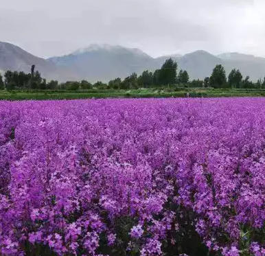 ScreenShot_2026-03-18_173224_437