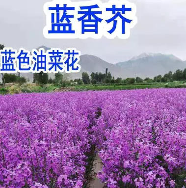 ScreenShot_2026-03-18_173231_637