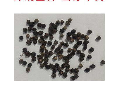 批发大叶木耳菜种子四季大叶鲜嫩豆腐菜盆栽庭院耐热蔬菜种籽图2