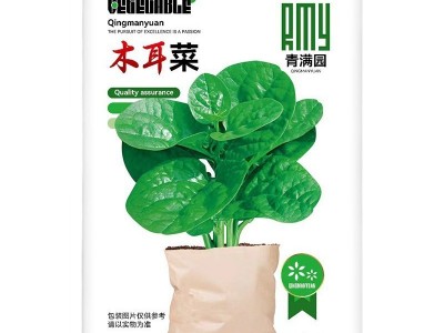 批发大叶木耳菜种子四季大叶鲜嫩豆腐菜盆栽庭院耐热蔬菜种籽图5