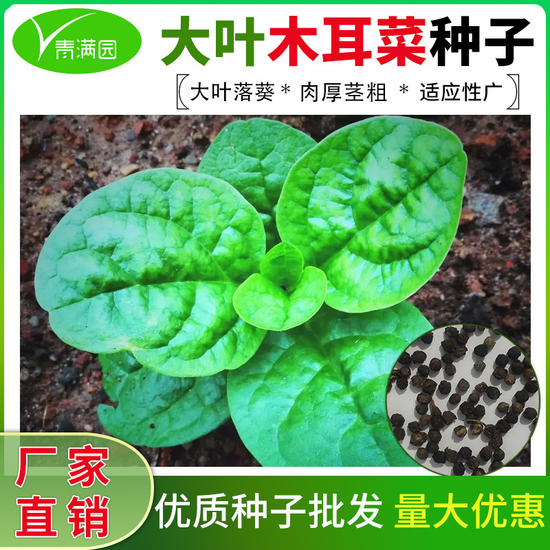 O1CN01KY9Dzu1bRBhad6TCP_!!2217227143461-0-cib