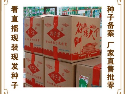 喜良种子厂家直售批零四季种植 台选圆叶一點红花红苋菜（262）图5