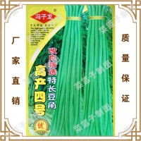蔬菜种子 高铲四号改良青选持长豆角 阳台爬藤果盆栽