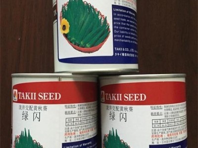 推荐-口感清爽适于鲜食黄秋葵-优选进口引进细长型水果秋葵种子图4