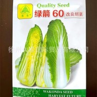 高品质特好吃日本新型改良绍菜（龙牙白菜）种子-外叶绿口感甜美