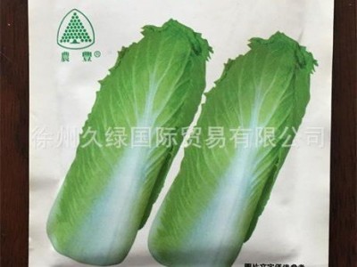 高品质特好吃日本新型改良绍菜（龙牙白菜）种子-外叶绿口感甜美图4