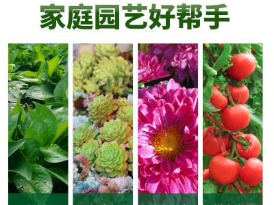 星蓓得磷酸二氢钾花卉多肉磷钾肥家用养花叶面肥催花保花肥500克图3