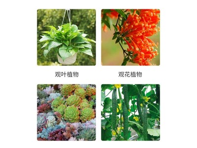 花魔力花卉磷酸二氢钾花肥料磷钾肥喷施浇灌通用叶面肥园艺500克图2