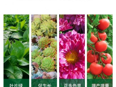 花魔力花卉磷酸二氢钾花肥料磷钾肥喷施浇灌通用叶面肥园艺500克图3