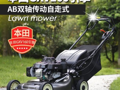 英德尔 GXV160草坪机自走式打草机21寸汽油割草机绿化修剪剪草机图2