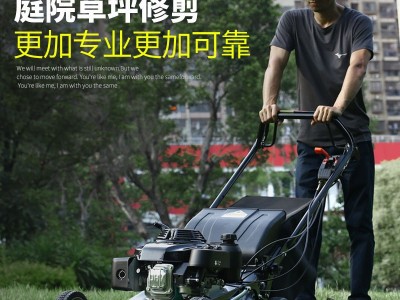 英德尔 GXV160草坪机自走式打草机21寸汽油割草机绿化修剪剪草机图3