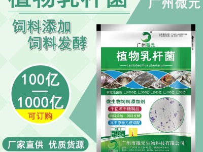 植物乳杆菌乳酸菌 植物乳杆菌冻干粉益生菌 动物乳酸菌饲料添加剂图3