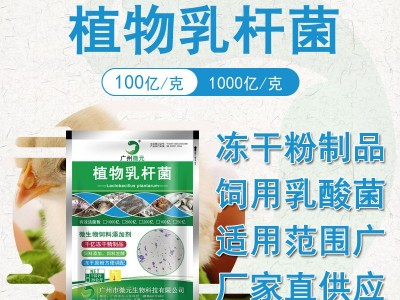 植物乳杆菌乳酸菌 植物乳杆菌冻干粉益生菌 动物乳酸菌饲料添加剂图4