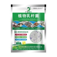 植物乳杆菌乳酸菌 植物乳杆菌冻干粉益生菌 动物乳酸菌饲料添加剂