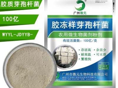 胶冻样芽孢杆菌100亿 农用微生物菌剂胶质芽孢杆菌解钾菌肥料添加图4