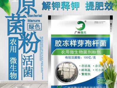 胶冻样芽孢杆菌100亿 农用微生物菌剂胶质芽孢杆菌解钾菌肥料添加图5