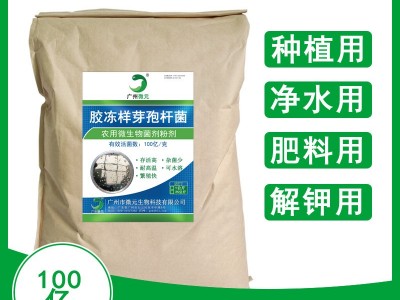 胶冻样芽孢杆菌100亿 农用微生物菌剂胶质芽孢杆菌解钾菌肥料添加图2