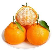 四川耙耙柑眉山春见耙耙柑应季新鲜水果非丑橘蒲江粑粑柑丑八怪