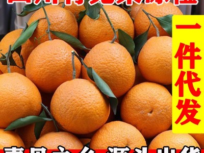 四川青见果冻橙新鲜水果应季批发非青见耙耙柑爱媛眉山清见整箱图5