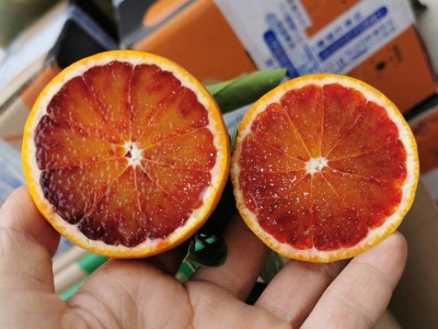 四川塔罗科血橙资中血橙玫瑰香血橙新鲜水果应季酸甜红心橙子血橙图3
