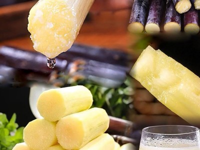 广西黑皮甘蔗3斤新鲜水果甘蔗脆甜多汁应当季孕妇甜杆果蔗整箱产图3