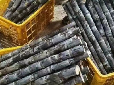 广西黑皮甘蔗3斤新鲜水果甘蔗脆甜多汁应当季孕妇甜杆果蔗整箱产图5