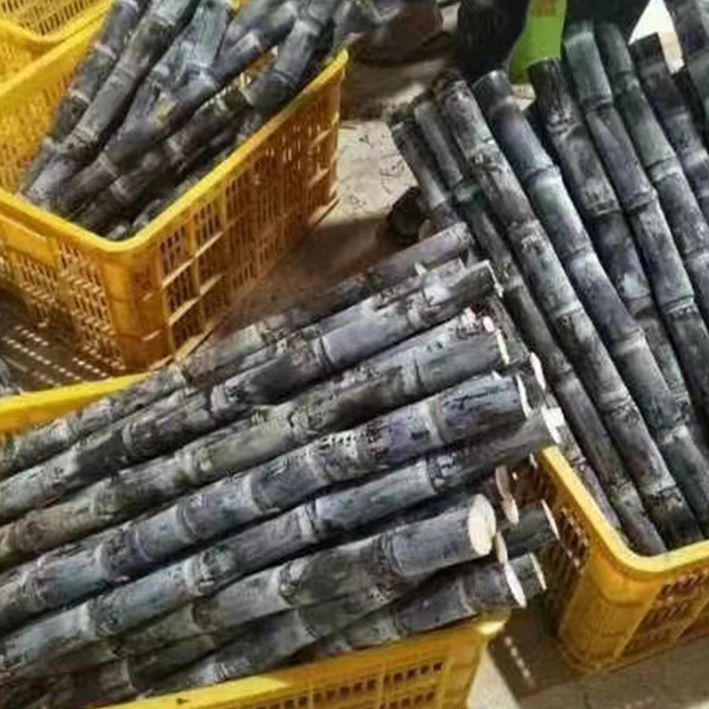 O1CN010n6CyE1LSzTVhHrGY_!!2211002991299-0-cib