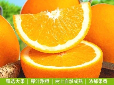脐橙 新鲜橙子5斤水果当季水果手剥橙子高山果甜橙大果脐橙整箱图5