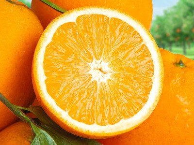 脐橙 新鲜橙子5斤水果当季水果手剥橙子高山果甜橙大果脐橙整箱图4