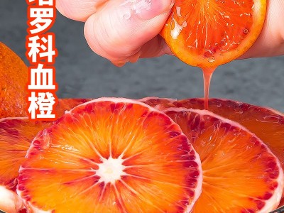 塔罗科血橙湖南麻阳玫瑰香血橙当季水果橙子整箱包邮图4