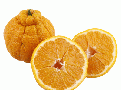 不知火丑橘9斤新鲜水果当季整箱包邮丑八怪橘子粑粑蜜桔子柑橘桔图2