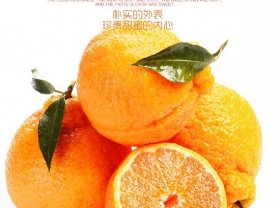 不知火丑橘9斤新鲜水果当季整箱包邮丑八怪橘子粑粑蜜桔子柑橘桔图3