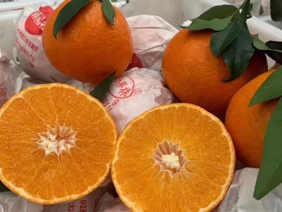 四川爱媛38号果冻橙9斤新鲜当季橙子水果柑橘蜜桔手剥橙大果包邮图3