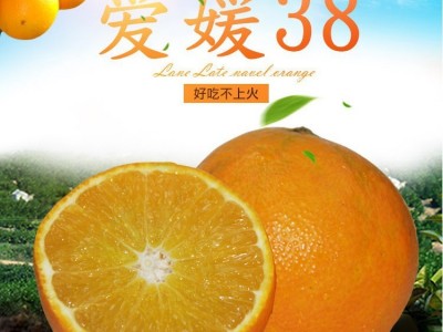 四川爱媛38号果冻橙9斤新鲜当季橙子水果柑橘蜜桔手剥橙大果包邮图4