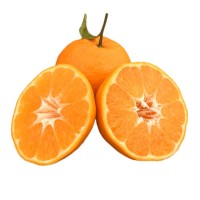 四川春见耙耙柑新鲜水果当季整箱正宗橘子丑柑橘耙耙柑桔大果包邮