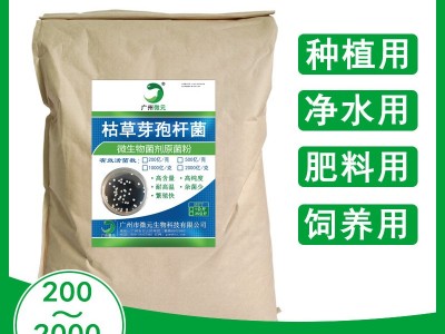 枯草芽孢杆菌1000亿 水产养殖水质净化 微生物菌肥生物有机肥添加图2