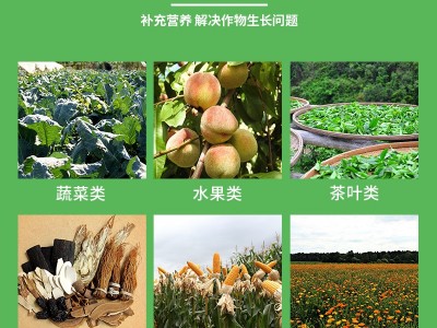 孚特拉叶绿素叶面肥绿叶增厚提苗壮棵50g/袋农用中量元 素水溶肥料图2