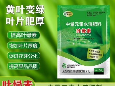 孚特拉叶绿素叶面肥绿叶增厚提苗壮棵50g/袋农用中量元 素水溶肥料图5
