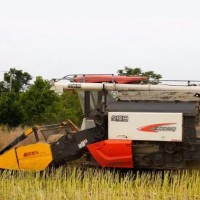 五丰 玉米小麦大豆艾草收割四轮拖拉机前置割台收割机