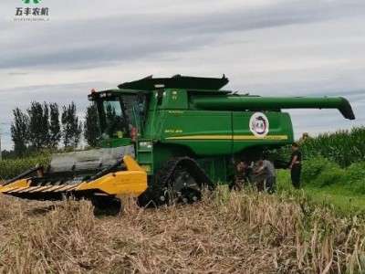 背负式5行玉米收割机 牧草收获机 低杆全自动苞米秸秆青储机图4