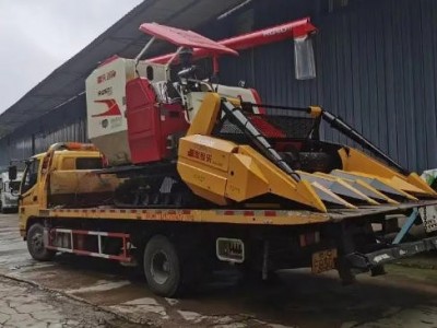 背负式5行玉米收割机 牧草收获机 低杆全自动苞米秸秆青储机图3