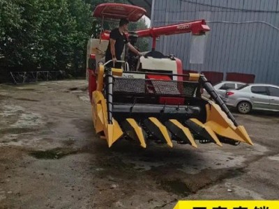 背负式5行玉米收割机 牧草收获机 低杆全自动苞米秸秆青储机图5