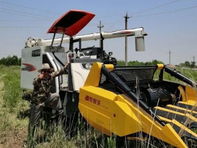 家家乐五行玉米棒收获机 自走式玉米收割机械2.8米宽图3