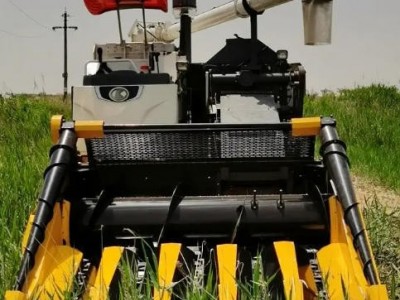 家家乐五行玉米棒收获机 自走式玉米收割机械2.8米宽图4