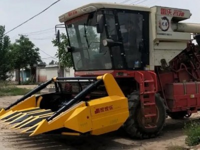 五丰 大型茎穗青贮机联合收割机 玉米秸秆割台 甘蔗收获机图3