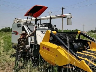 五丰 大型茎穗青贮机联合收割机 玉米秸秆割台 甘蔗收获机图4